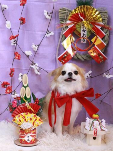 20230113くうくん